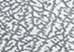 Rhino Skin