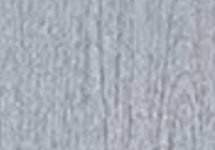 Tree Bark